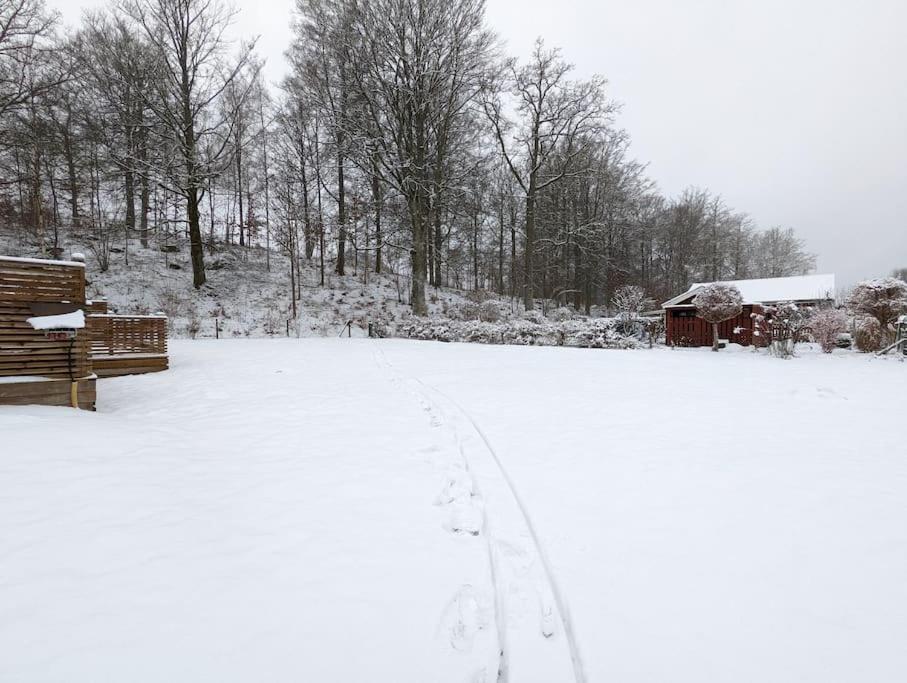 Beautiful And Cosy House Near The Lake Olofström Eksteriør billede